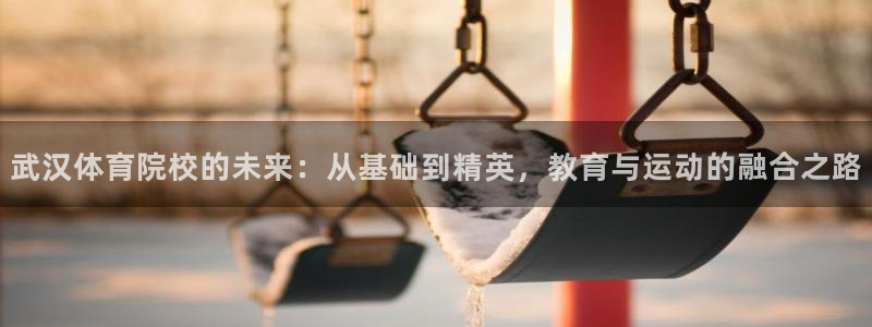 MK体育官方正版app娱乐平台:武汉体育院校的未来:从基础到