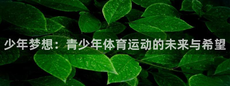 MK体育官方正版app官方:少年梦想:青少年体育运动的未来与