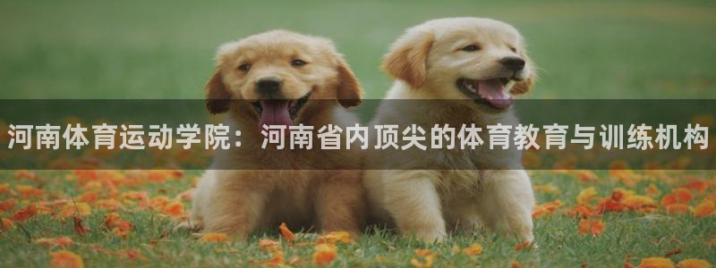 MK体育官方正版app科技:河南体育运动学院:河南省内顶尖的