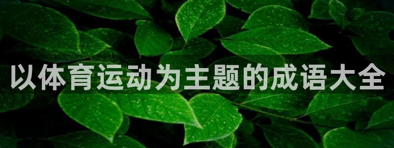 MK体育官方正版app娱乐代理怎么样:以体育运动为主题的成语