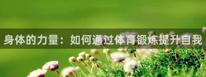 MK体育官方正版app代理:身体的力量:如何通过体育锻炼提升